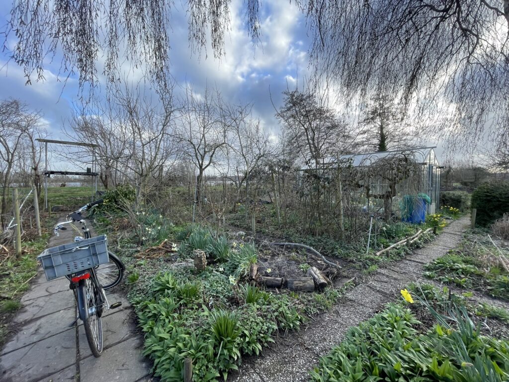 A wide angle photo of one of my three plots with bike parked on the path that divides them